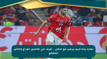 نهاية رحلة كريم نيدفيد مع الأهلي.. تعرف على تفاصيل الوداع والتأثير المتوقع